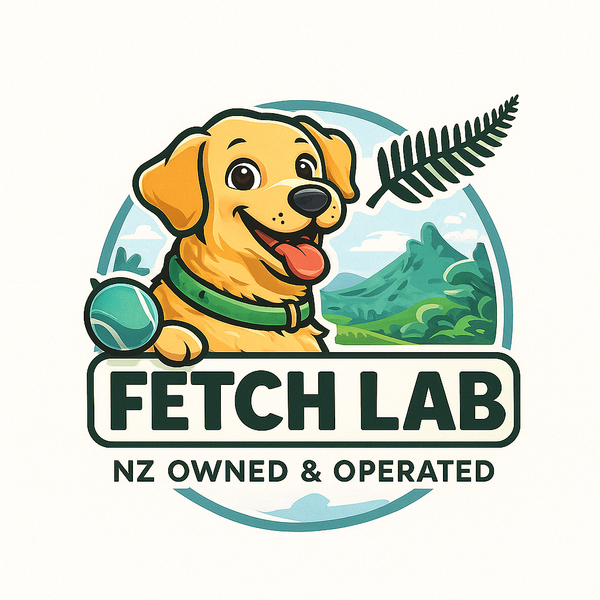 Fetch Lab
