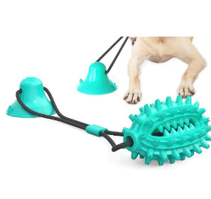 Suction-Chew